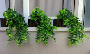 Ryme PackOf 3 Falling Bonsai Wild Artificial Plant  with Pot