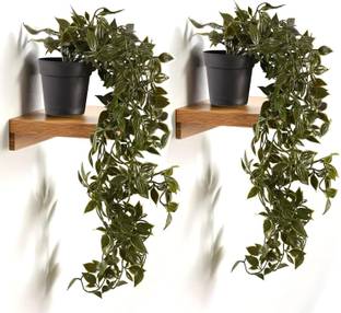 HOMESTIC Artificial Vine Plants with Pot|Natural Look Pack of 2 (Green and Black) Wild Artificial Plant  with Pot