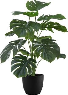 De Gardenia De Gardenia Artificial Monstera Deliciosa Plant Bonsai Artificial Plant  with Pot