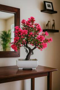 PVN Bonsai Wild Artificial Plant  with Pot