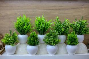 KanRaj Set of 8 Artificial Plants For Home And Office Decor Bonsai Wild Plant Bonsai Wild Artificial Plant  with Pot