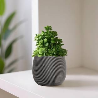 HOMESTIC Tall Faux Leaves Palm Tree Artificial Plants with Pot Big Size | Green Wild Artificial Plant  with Pot