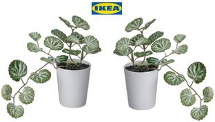 IKEA Bonsai Artificial Plant  with Pot