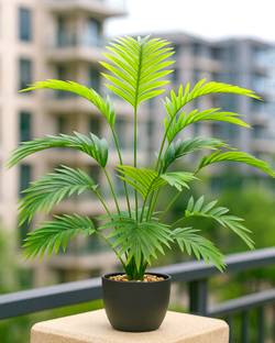 Homesake Artificial Faux Palm Tree Acacia Tropical Plant Tree for Home Decor Living Room Artificial Plant