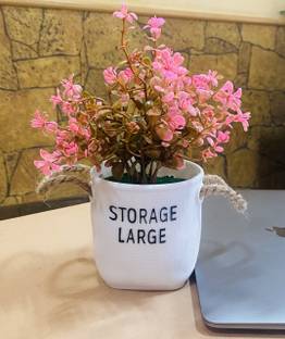 Ryme 22 Cm / 8 Inches Bonsai Wild Artificial Plant  with Pot