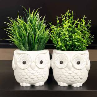 Handybee Fake/Faux Plants, Cute Owl Pot for Home Office and Room Décor | Mini Set of 2 Bonsai Artificial Plant  with Pot