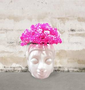 ductor Ductor Unique design Artificial Plant with Buddha Pot Home decoration,Table top Bonsai Wild Artificial Plant  with Pot