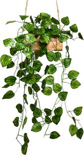 Flipkart Perfect Homes Falling Leaves Hanging in Wood Buckle Pot Wild Artificial Plant  with Pot