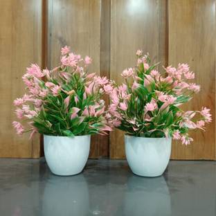 Decogreen 2,P MMTP PINK, for Home, Office Living Room Interior Design Balcony Garden Bonsai Artificial Plant  with Pot