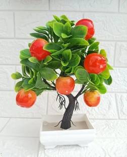Nimkar's Artificial Apple Plant/ Tree Fruit Plants with White Pot for Center Table Bonsai Artificial Plant