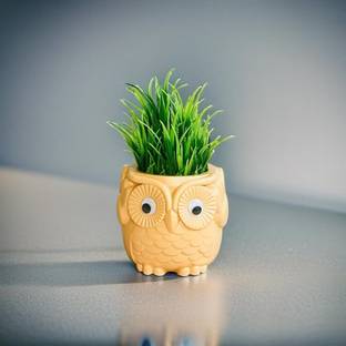 JJ Plastic Artificial Plant  with Pot