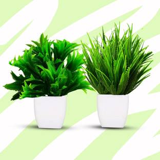 Handybee Artificial Fake Green Plant and Colored Artificial Plants for Home, Office Bonsai Wild Artificial Plant  with Pot