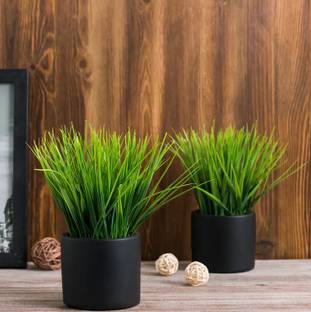 Paperi Artificial Wheat Grass Plant with Plastic Pot (Multicolour) Bonsai Artificial Plant  with Pot