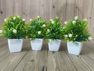 Decosoma Decosoma BG1 Bonsai Wild Artificial Plant  with Pot