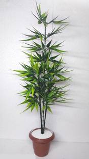 Calcuttabees Artificial Bamboo Plant Tree without pot , Best Item for Decor Home,Office etc. Bonsai Artificial Plant