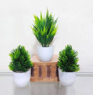 saf Set of 3 mini green plant's with pot for table top and home decoration 22 CM Bonsai Wild Artificial Plant  with Pot