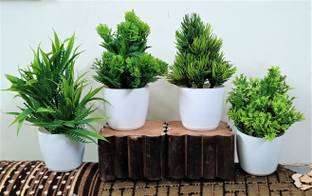 ductor Unique Decoration Combo Of 4 Different Design(H~15 Cm) Bonsai Wild Artificial Plant  with Pot
