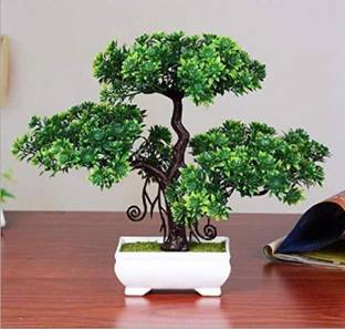 deconte Artificial Plants Green Tree for Home Decor Show Style बोनसाई जंगली नकली पौधा पॉट के साथ