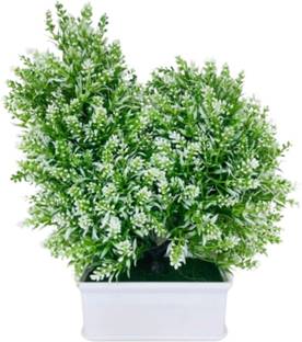 bloomings Bonsai Artificial Plant  with Pot