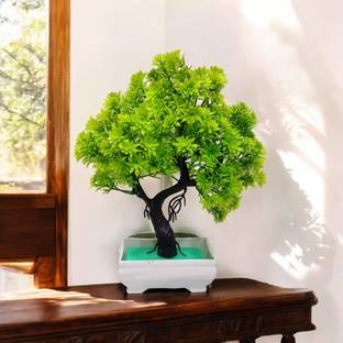 DIYANK Artificial green trees plant for dinning table, bedroom etc. Bonsai Wild Artificial Plant  with Pot