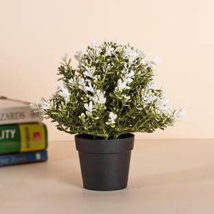 Paperi Artificial Thyme Plant With Plastic Pot Bonsai Artificial Plant  with Pot
