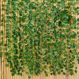 Grinny 8ft Set of 6 Artificial Money Plant vine | Home|wall| anging|Garden|Decoration Artificial Plant