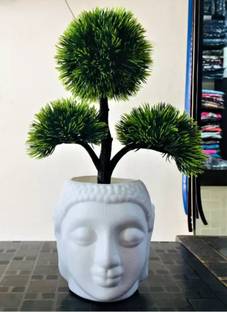 CARNIVAL Bonsai Artificial Plant  with Pot