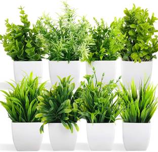 Litleo Green Eucalyptus Artificial Flower  with Pot