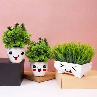 Kawai Homes SET OF 3 Artificial White Pot Plants for Home Decoration Bonsai Artificial Plant  with Pot