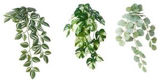 IKEA FEJKA Artificial plant with wall holder, in/outdoor/green Wild Artificial Plant