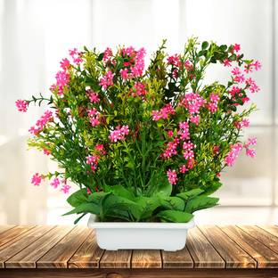 REIKI CRYSTAL PRODUCTS Flora Flower Bonsai Tree - Artificial Tree - Bonsai Plant - Bonsai Tree with Pot - Bonsai Plant with Pot - Bonsai Flora with Pot for Indoor/Office / Home Decor Bonsai Artificial Plant  with Pot