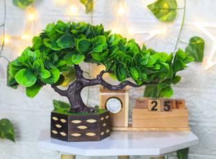 shanol Artificial green Plants for Gifts and Home Decoration Bonsai Wild Artificial Plant  with Pot