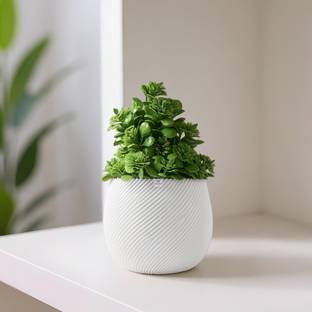 Heart Home 2 Pcs Indoor Artificial Plants with Pot for Shelf and Table Top | 4001 - White Wild Artificial Plant  with Pot