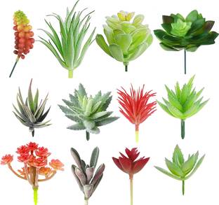 TIED RIBBONS Artificial Succulent Plants (Pack of 12) Small Plant for Pot Home Decoration Wild Artificial Plant