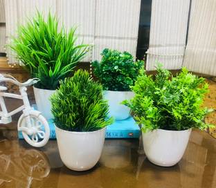 Ryme Small Size Set Of 4 With Pot For Home And Office Decor Bonsai Wild Artificial Plant  with Pot