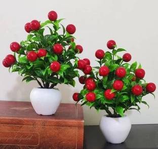 Ramarch Bonsai Artificial Plant  with Pot