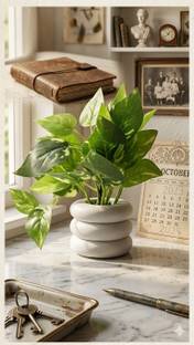 INFINITY WORLD Premium Artificial Pothos Plant with White Ring Decorative Planter Artificial Plant  wi...