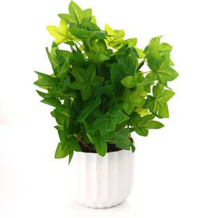GREENZY GZ-104 Bonsai Artificial Plant  with Pot