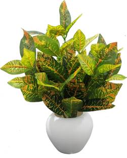 BAARIG Big Croton Plants, Best for Home Office or Gift with Pot Bonsai Artificial Plant  with Pot