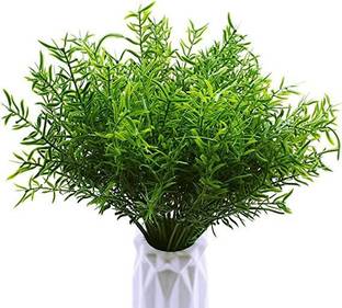 zoanto Artificial Plant