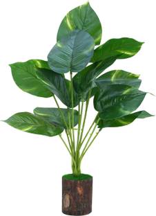Yash Enterprises Bonsai Artificial Plant  with Pot