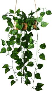 Flipkart Perfect Homes Home Decor Falling Leaves Hanging in Wood Buckle Wild Artificial Plant  with Pot