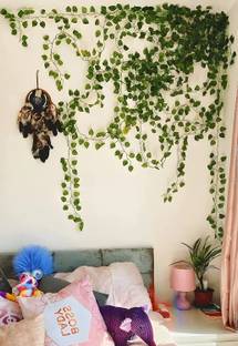 Shandil Artificial Money Plant (Pack Of 01 Strings,8ft/Per string 30 leave per vine)-38 Artificial Plant