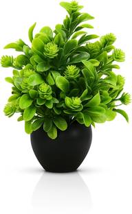 SKIDecor Artificial Succulent Plant with Green Leaves in Black Ceramic Pot Bonsai Wild Artificial Plant  with Pot