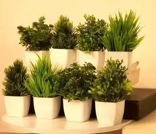 blue penguin Set Of 8 Mini/Small Artificial Plants Bonsai Wild Artificial Plant  with Pot