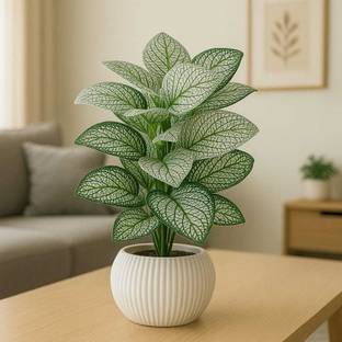 Obeero OBEERO002 Artificial Plant  with Pot