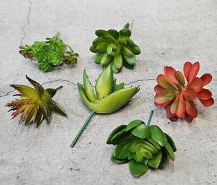 Satyam Kraft 6 Pieces Artificial Succulent Heads Small Mini Plants for Home Decoration Artificial Plant