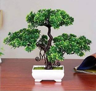 deconte Artificial Plants Green Tree for Home Decor Show Style Bonsai Wild Artificial Plant  with Pot