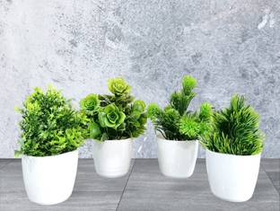 ductor Bonsai Wild Artificial Green Plant With Pot Combo Of 4 . Living Room H~15cm Bonsai Wild Artificial Plant  with Pot