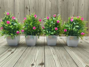 Decosoma Decosoma BG1 Bonsai Wild Artificial Plant  with Pot
